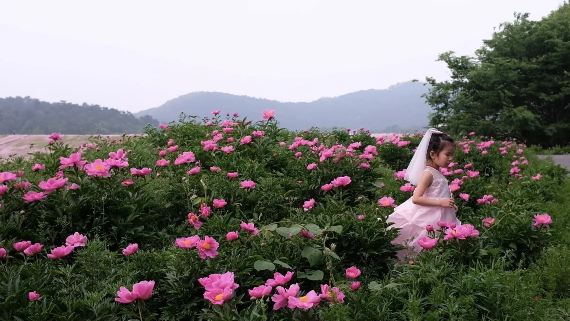 4.19南京周边无人花海