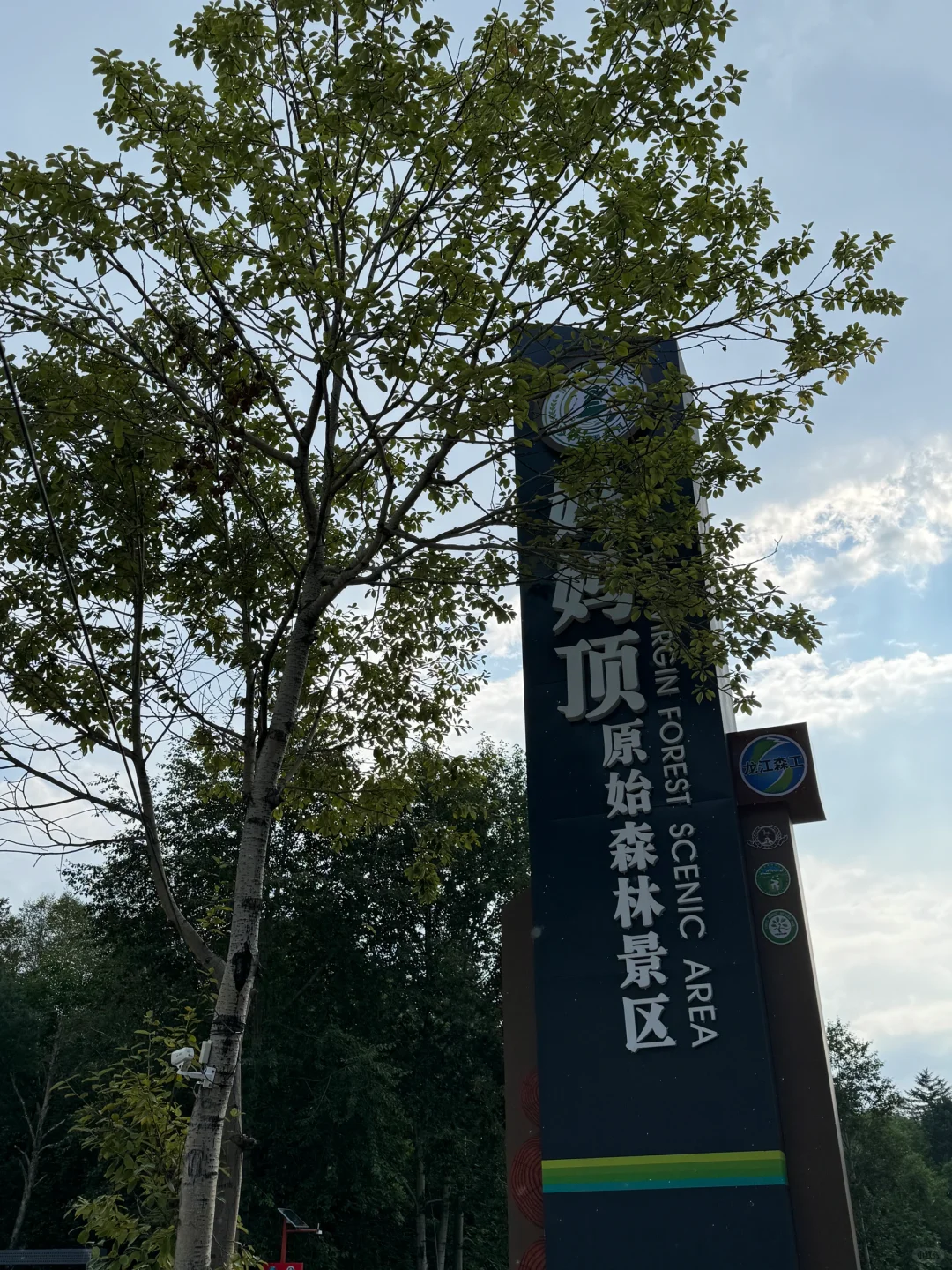 🌲【探秘哈尔滨周边游妈妈顶原始森林】🌲