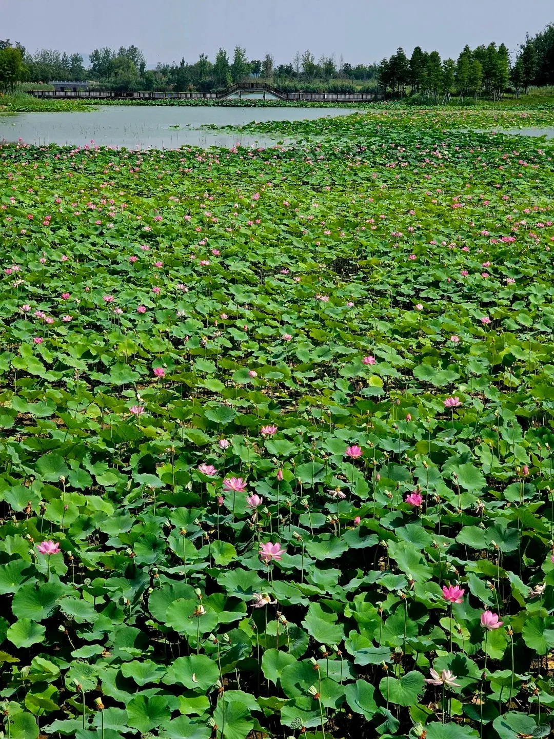 📍淮北九大小众旅游宝藏地