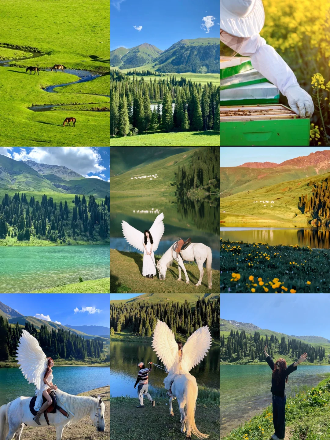 原生态人间秘境——唐布拉草原