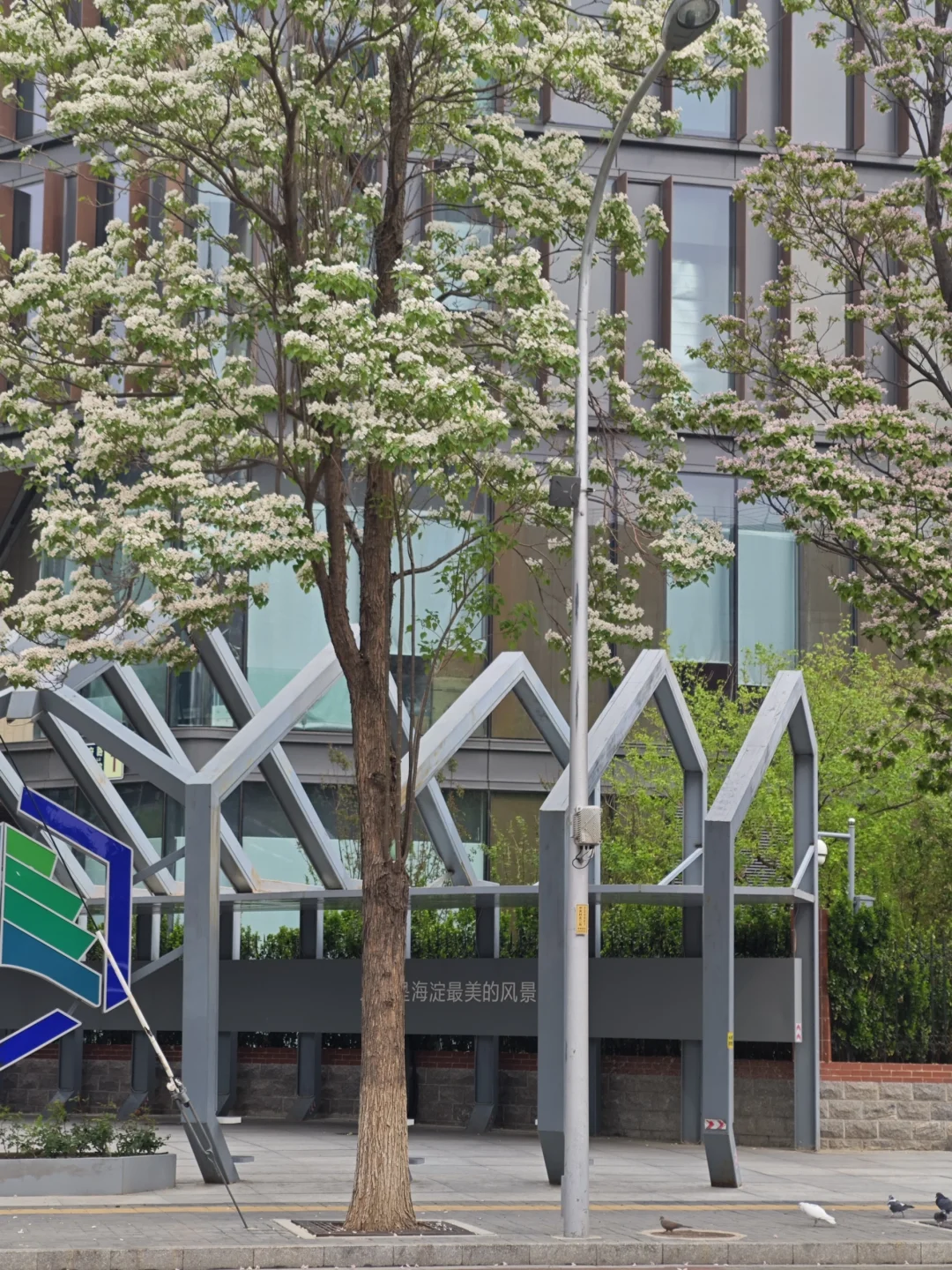 去往北京的春天