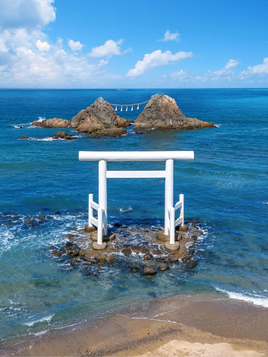 东京大阪去腻了，会玩的人都去九州了🌲