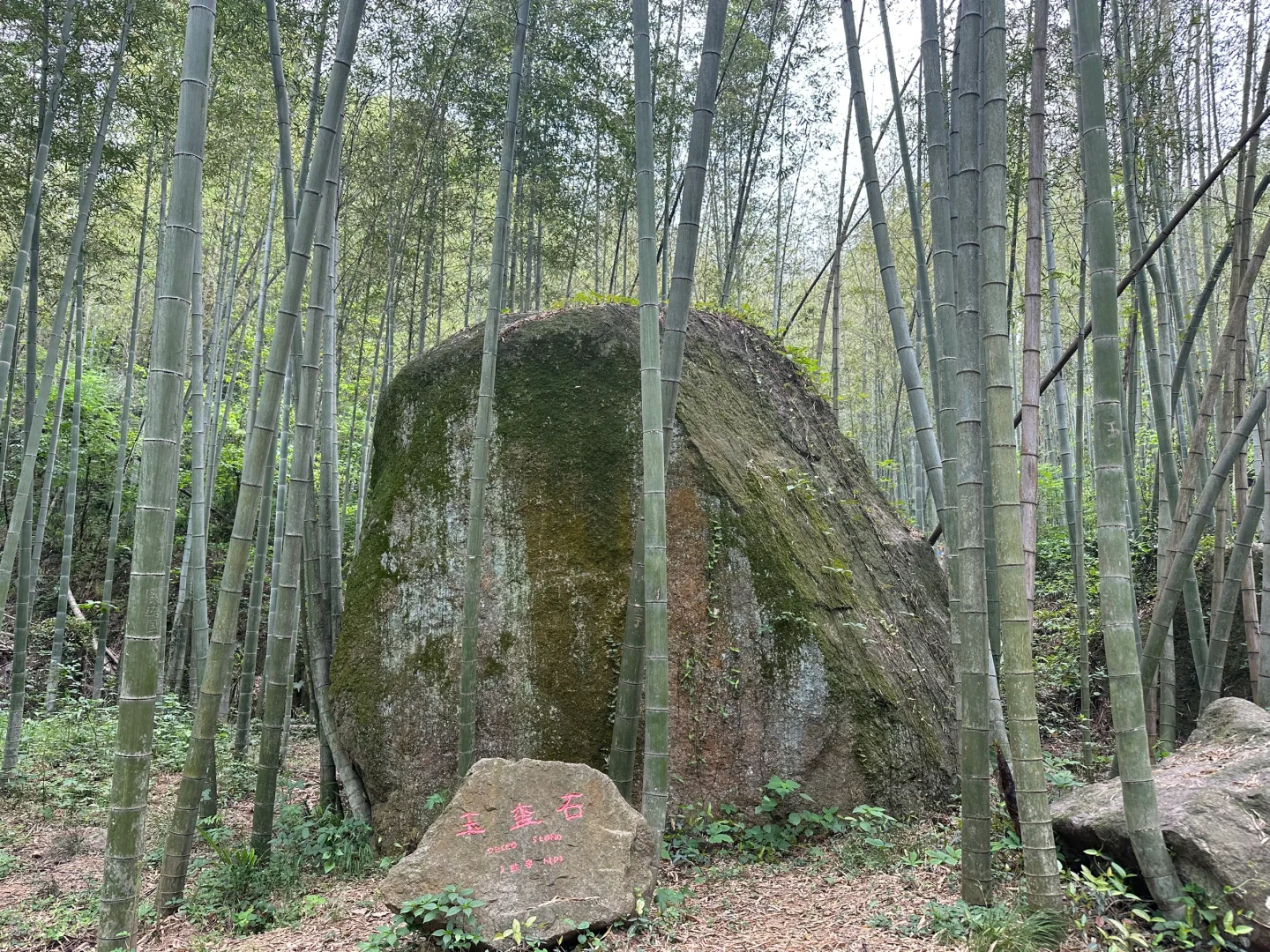 六安周边亲子游：龙井沟风景区