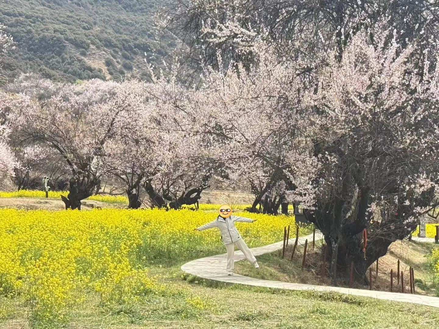 4月 波密-林芝-拉萨超详细小众出片景点