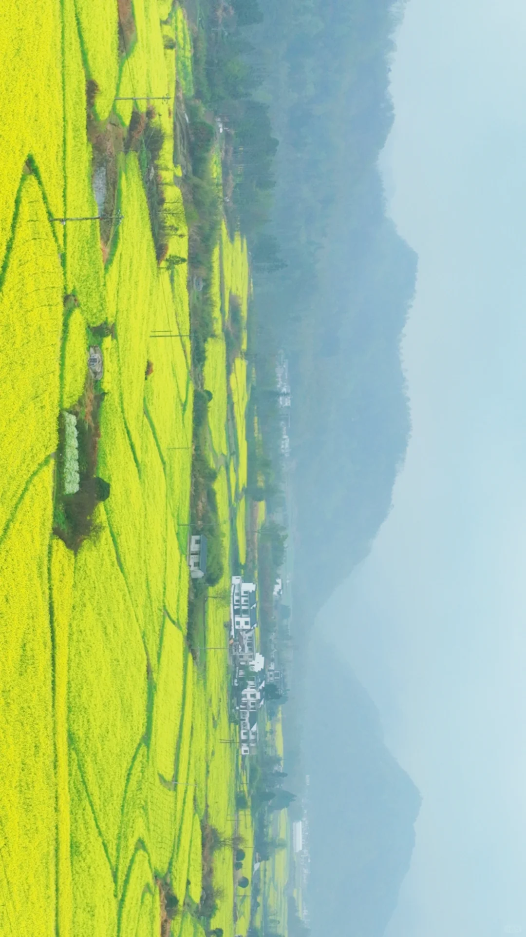 皖南有的地方宣而不藏,但很多人还是会错过