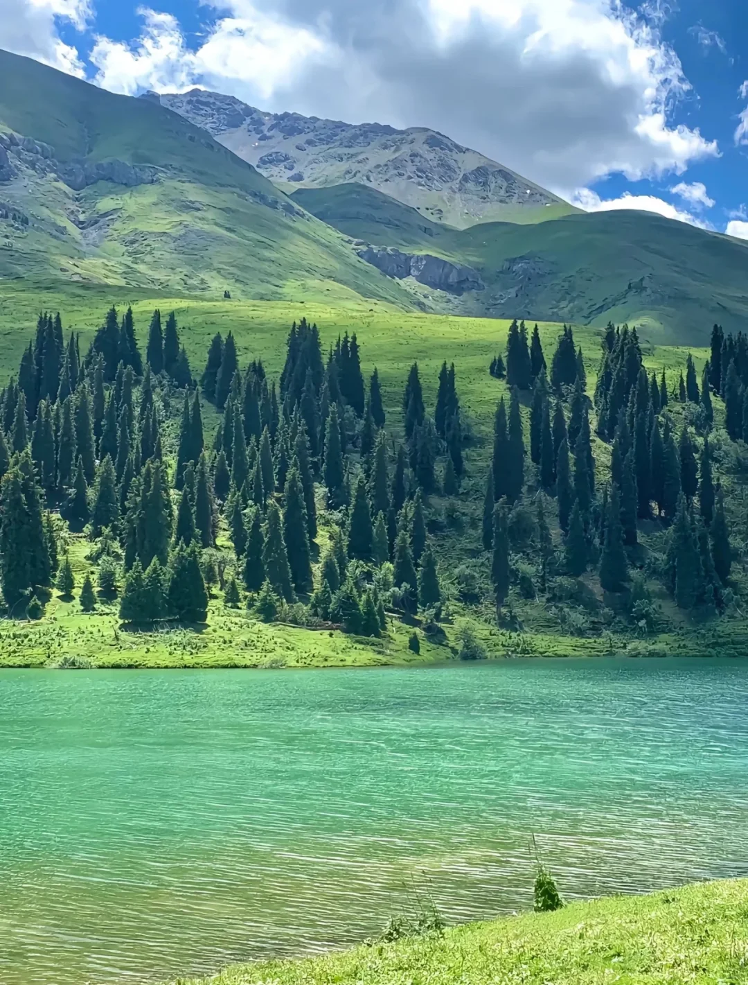 原生态人间秘境——唐布拉草原