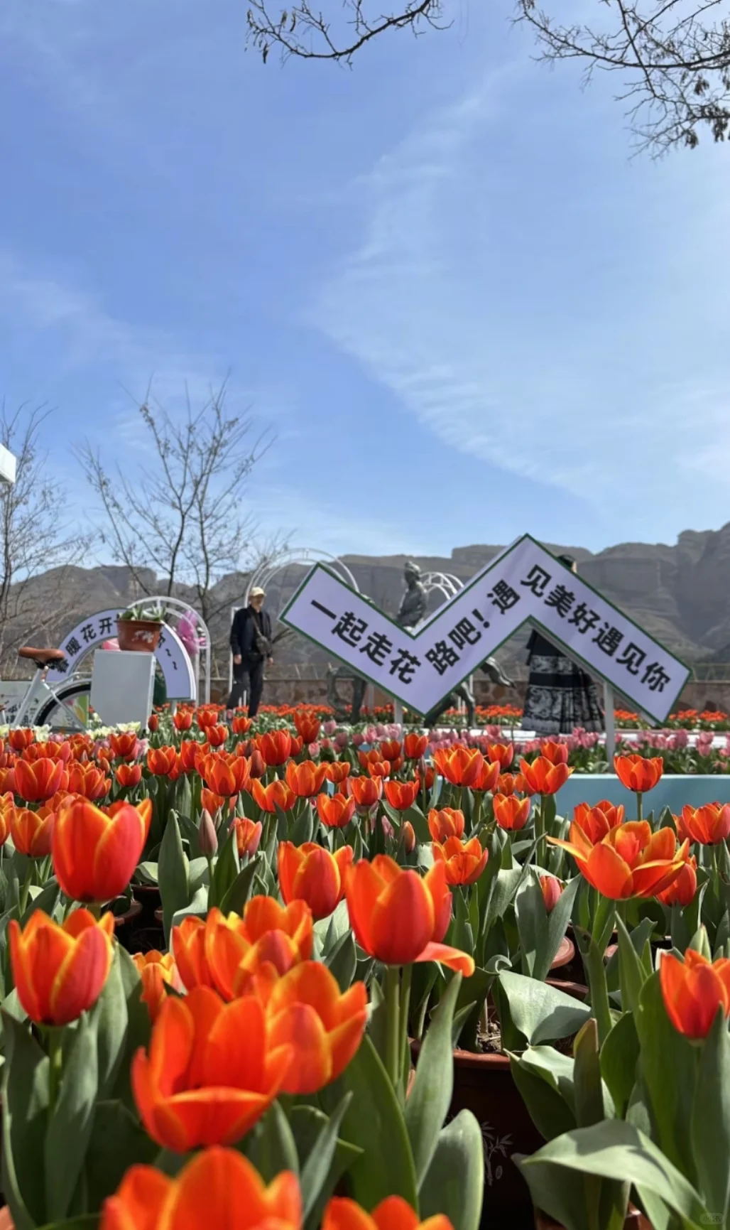 邯郸去京娘湖一日游，赏花+游山+玩水！