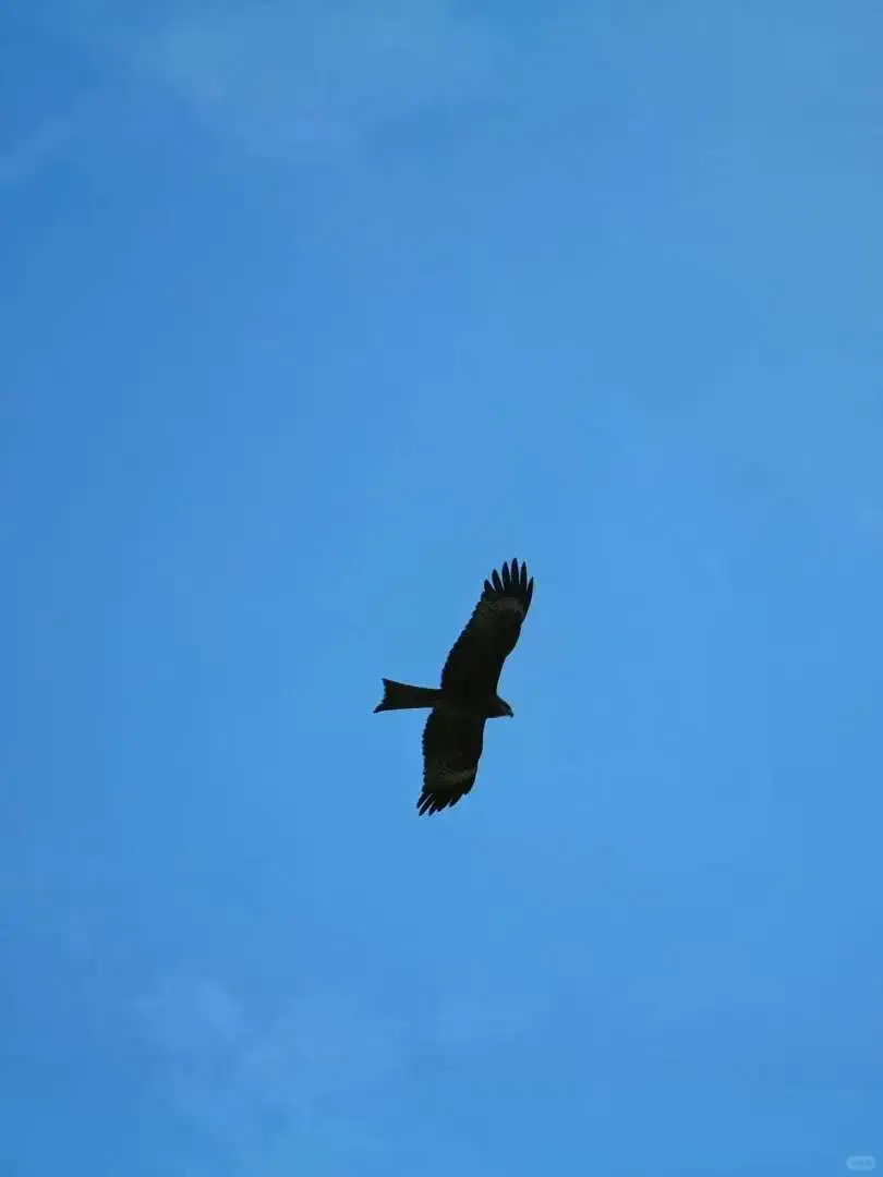 🌿新疆|建议能量低的人都去一下这个景点