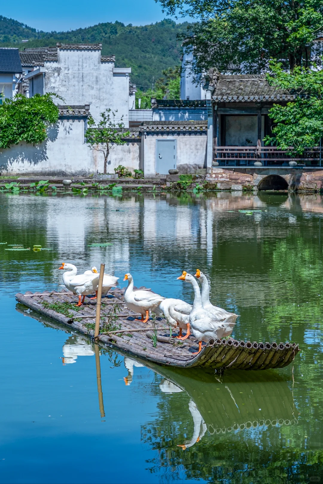 《国家地理》没有骗我,这个小众古村太绝了