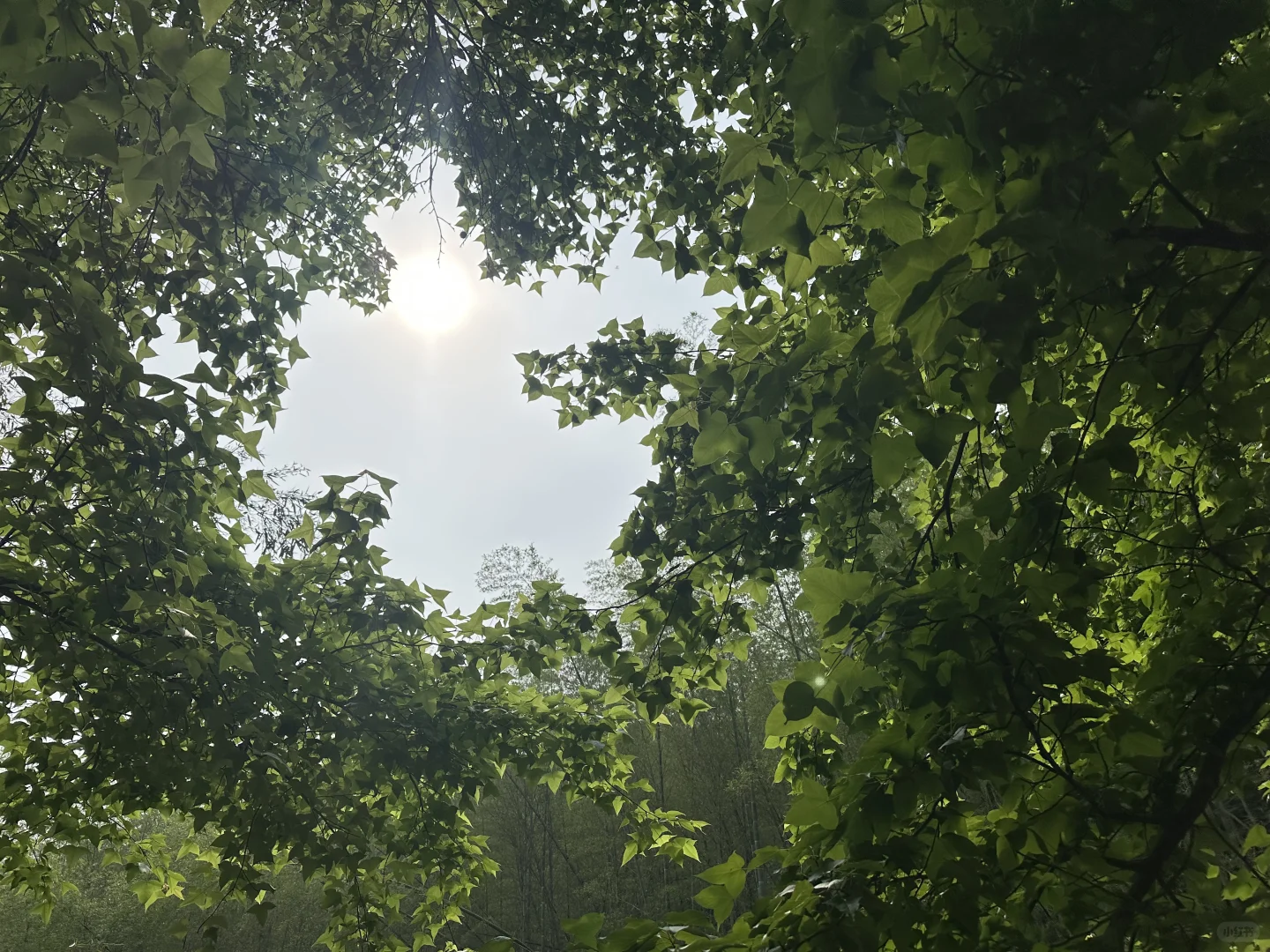 六安周边亲子游：龙井沟风景区