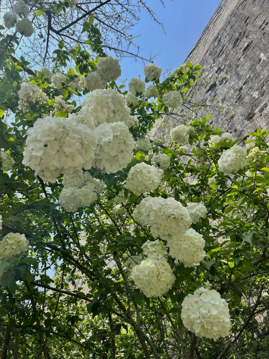 南京半日游!推荐❶条私藏小众秘境路线