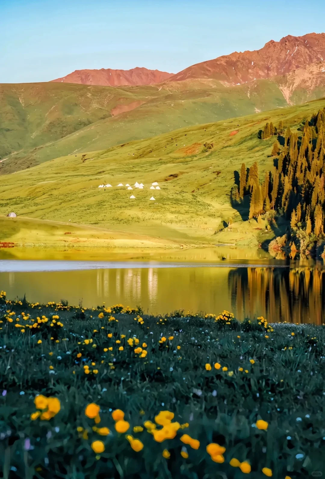 原生态人间秘境——唐布拉草原