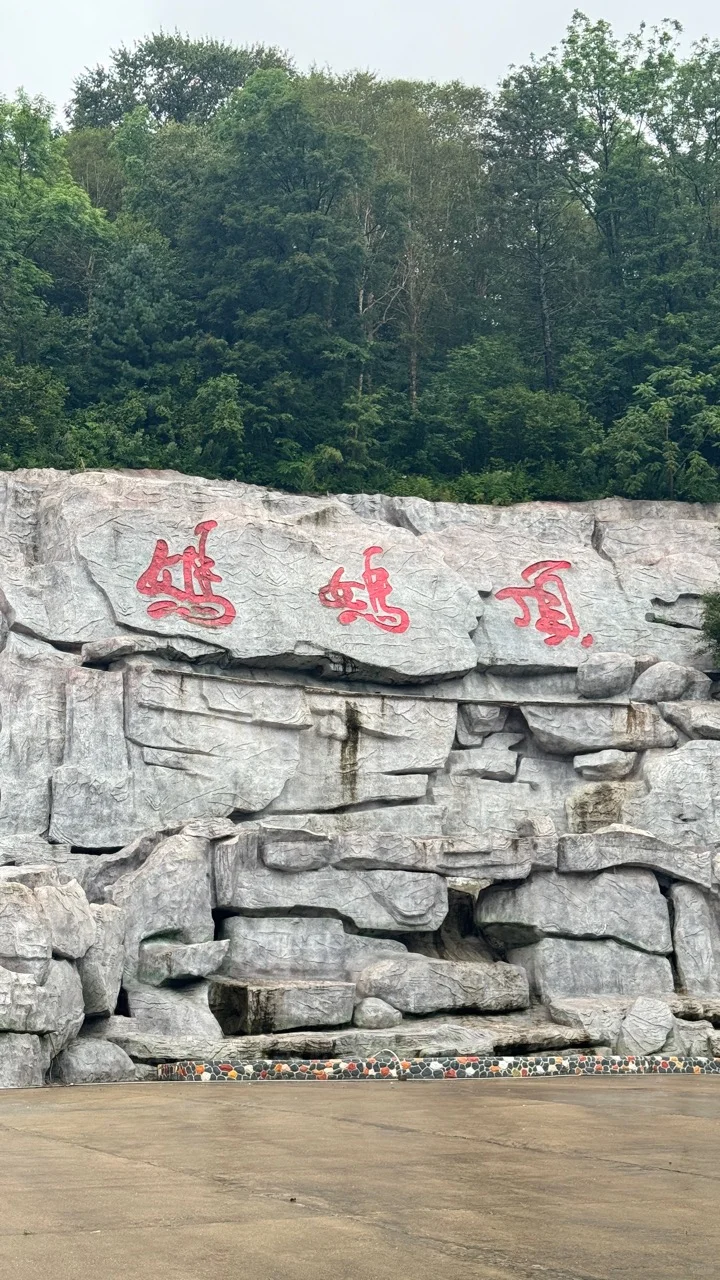 🌲【探秘哈尔滨周边游妈妈顶原始森林】🌲