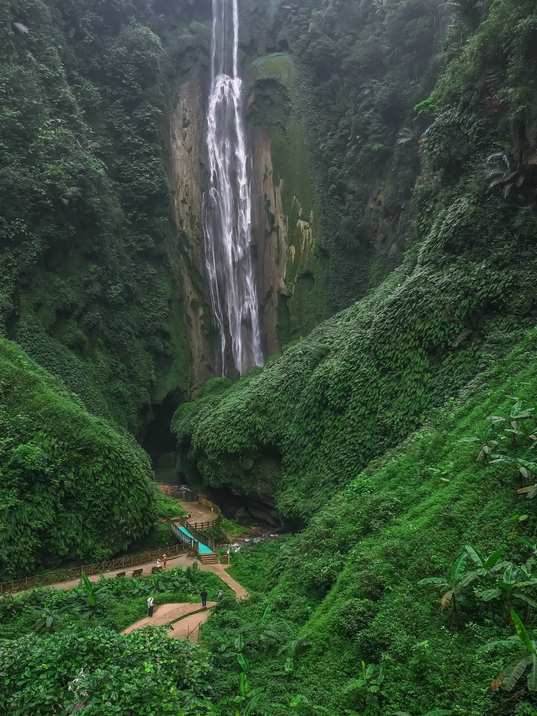 我宣布！我找到了中国最原始感的森林植物园
