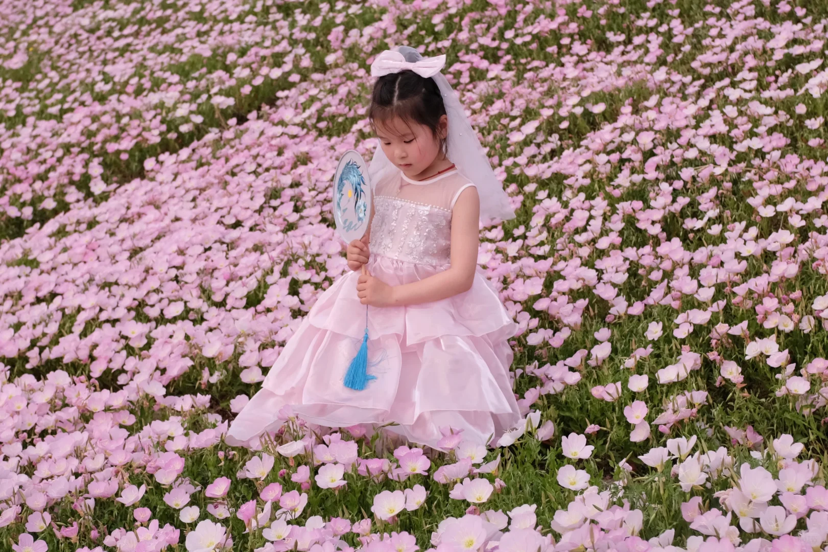 4.19南京周边无人花海