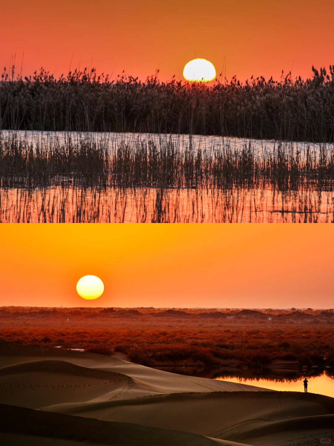 这8大景点,把银川玩到心里去
