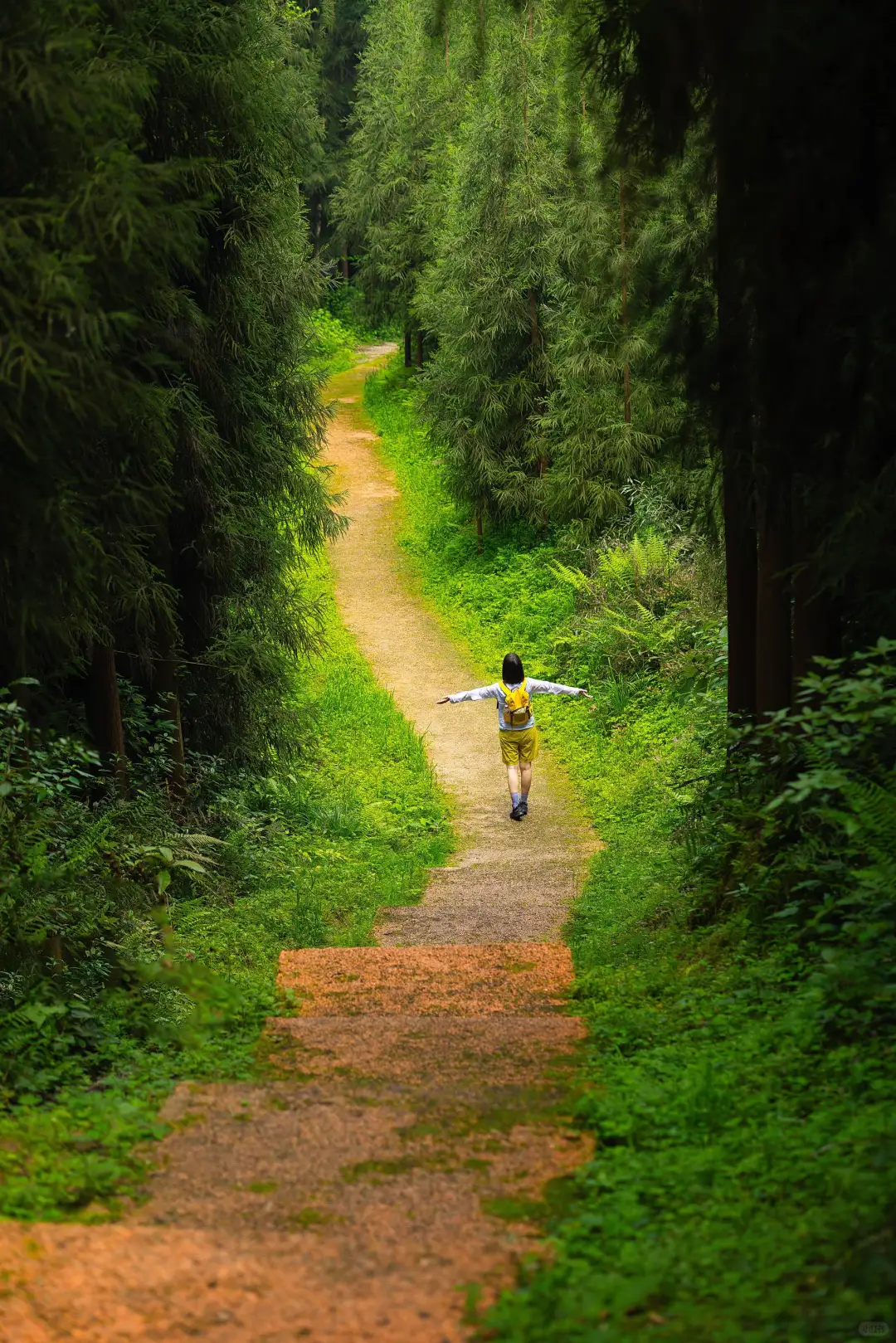 成都1.5h🍃小众冷门免费徒步秘境‼️