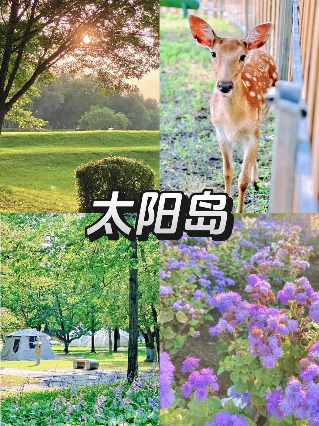 📚4月份来尔滨｜必去九大景点❗️❗️