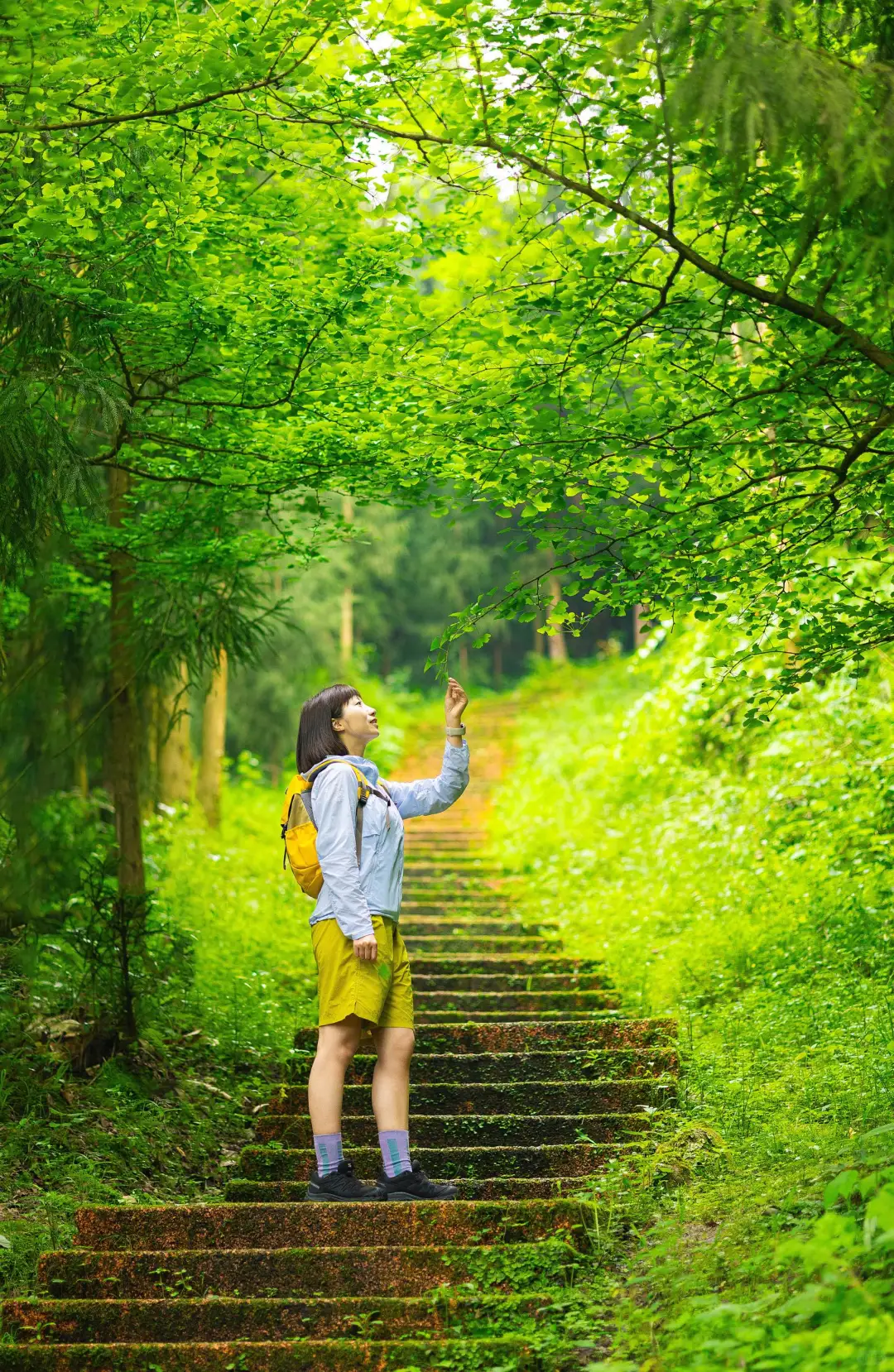 成都1.5h🍃小众冷门免费徒步秘境‼️