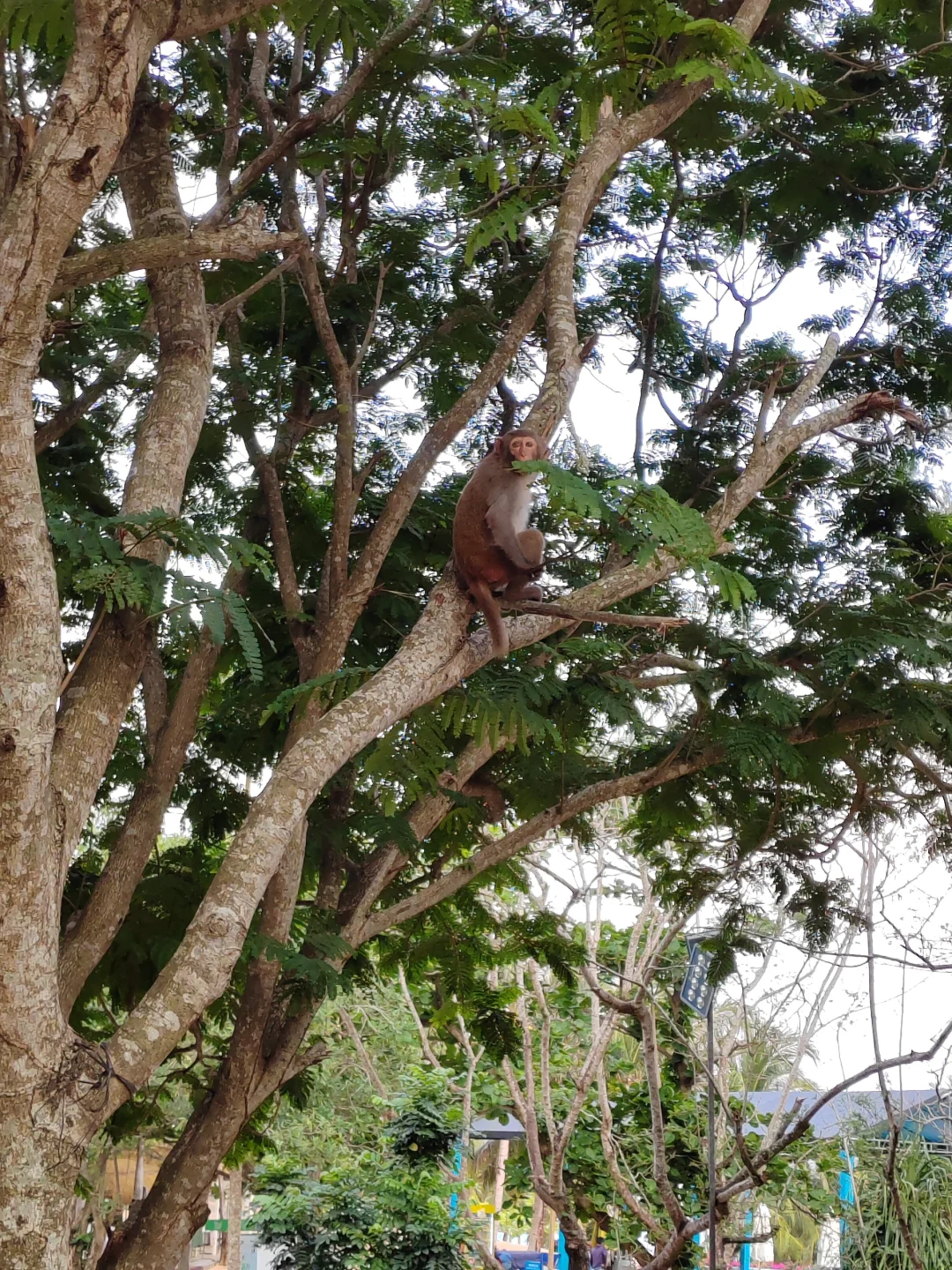呆呆岛，适合发呆的地方！