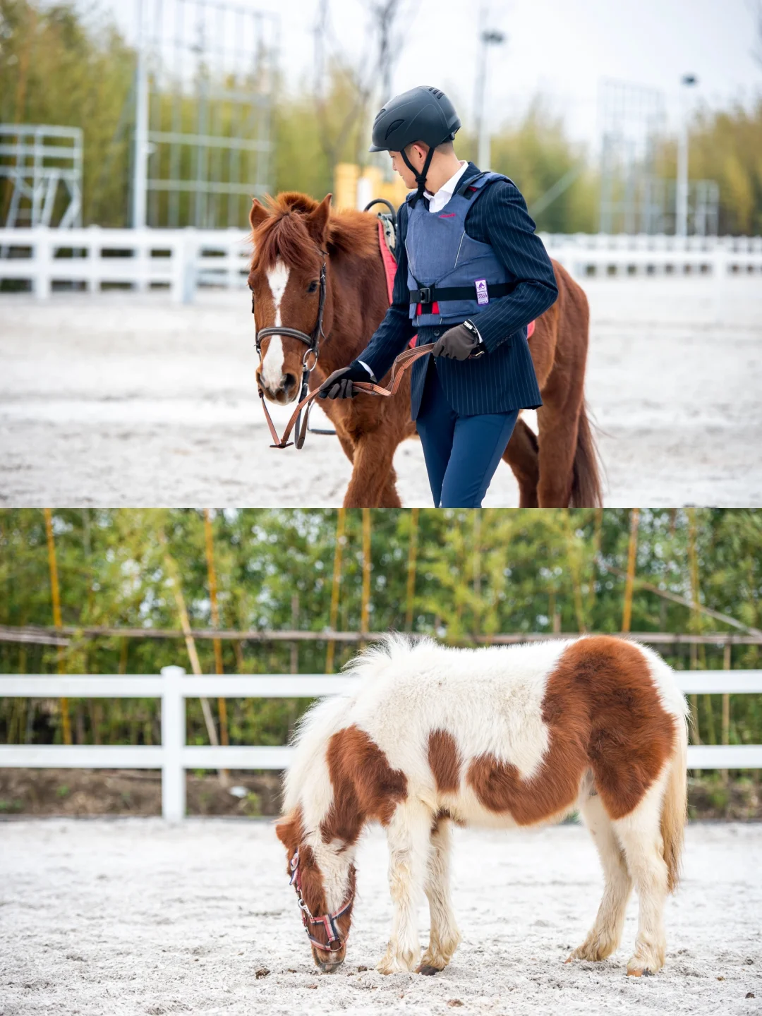 崇明适合穷游的11个免费景点！学生党快冲~