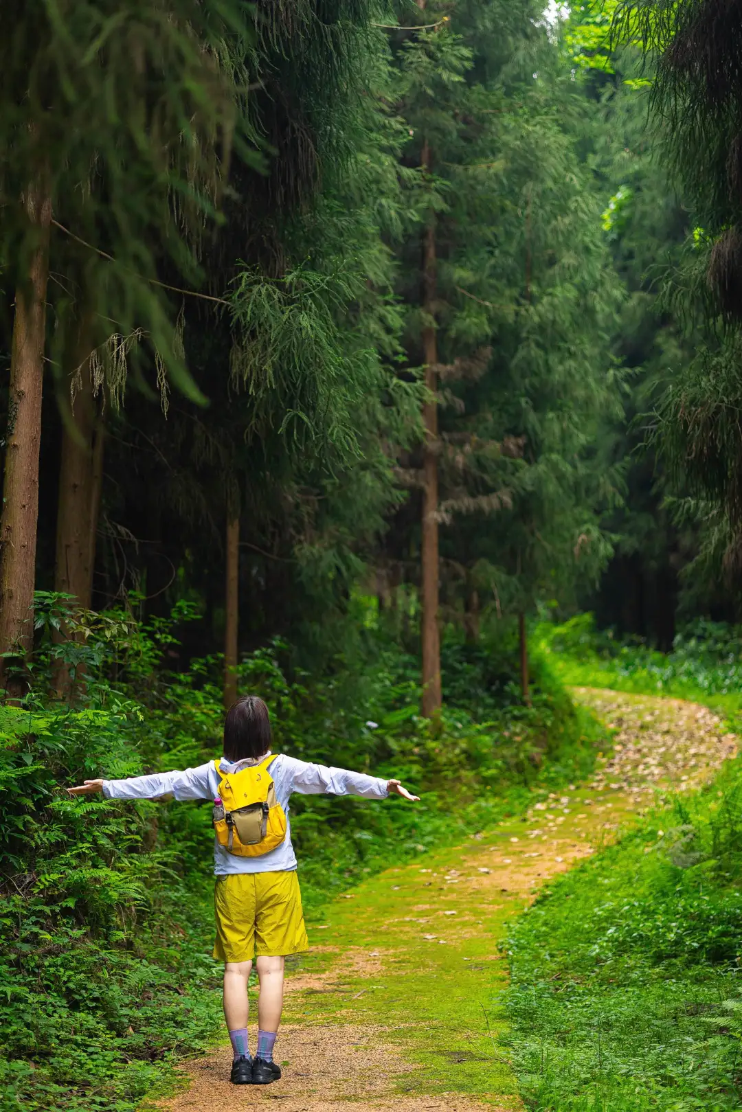成都1.5h🍃小众冷门免费徒步秘境‼️