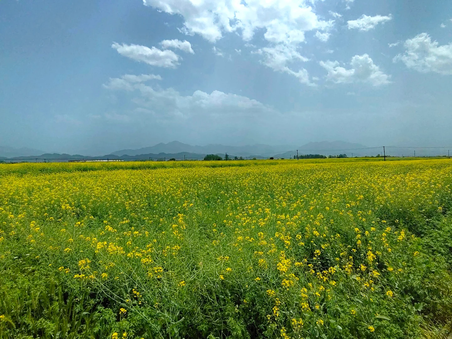 四月反向游 D1｜富阳桐庐感受富春江之美