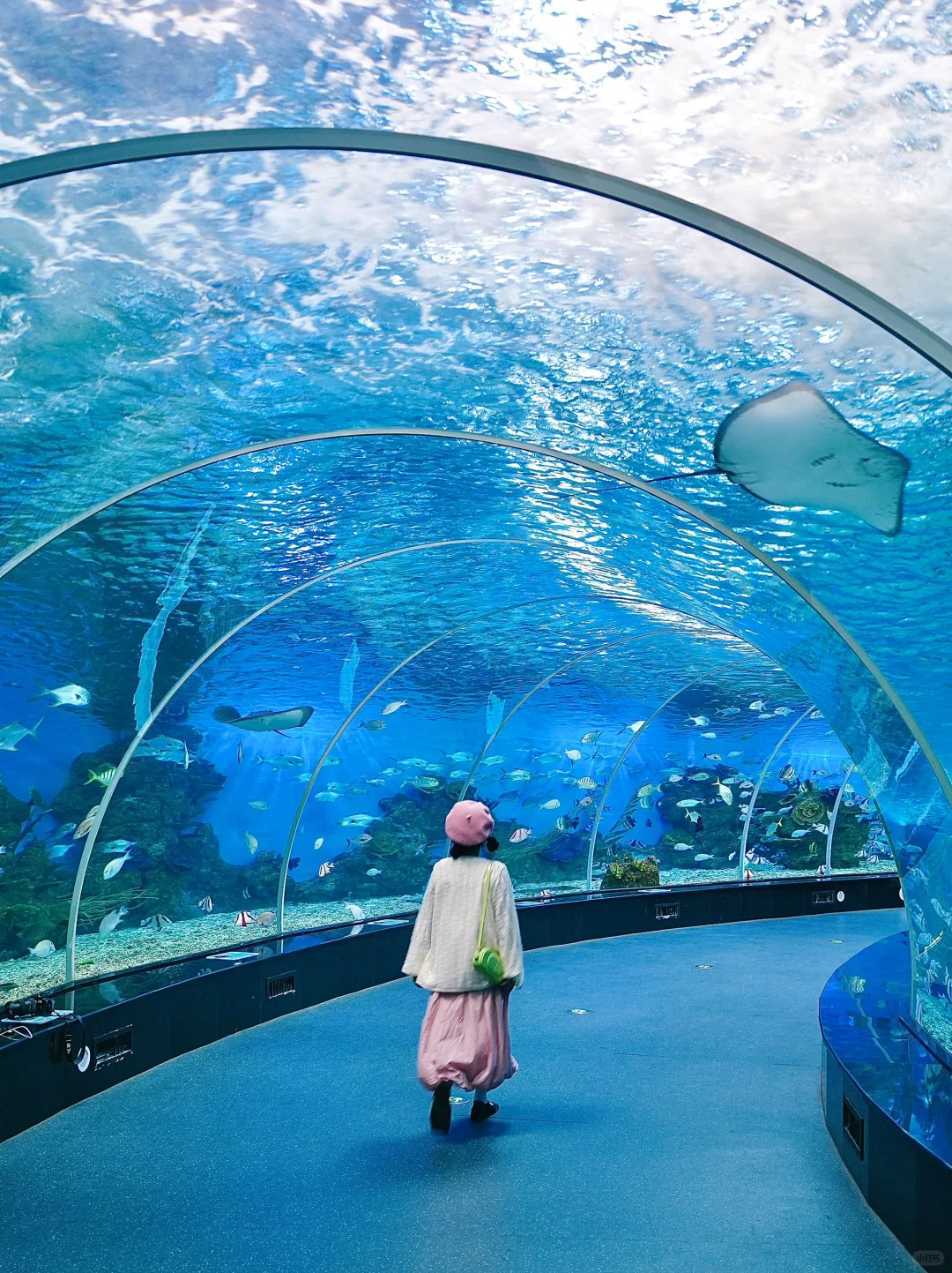 厦门周边！海上落日过山车！！！