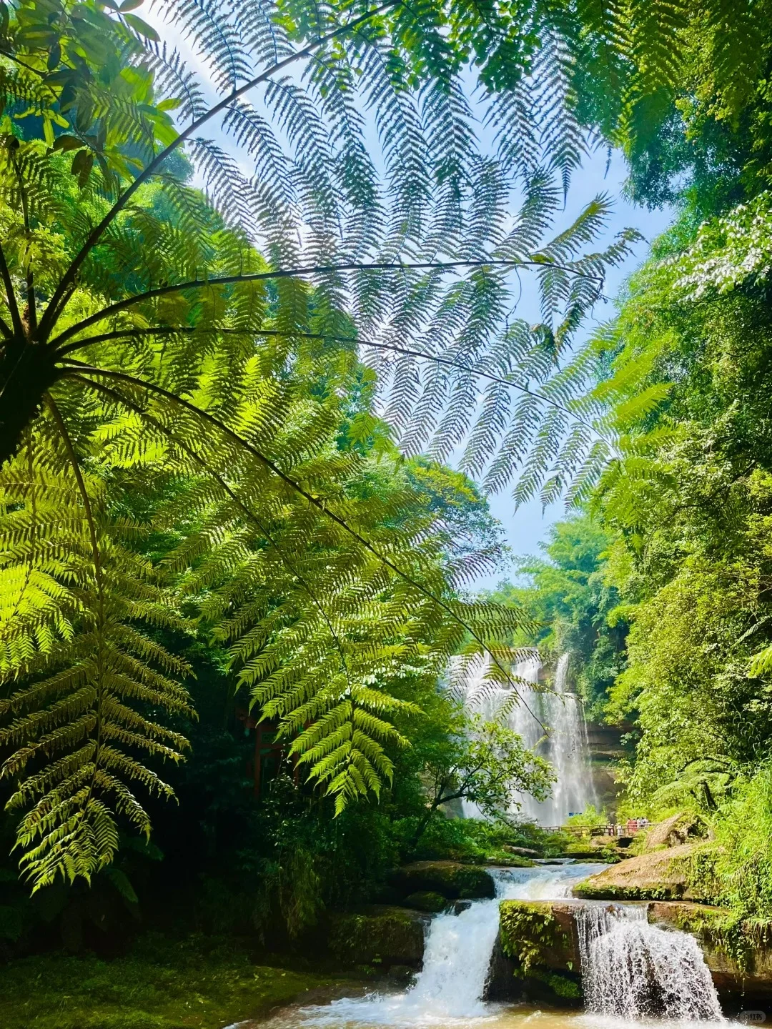 遵义必去九大景点攻略💌