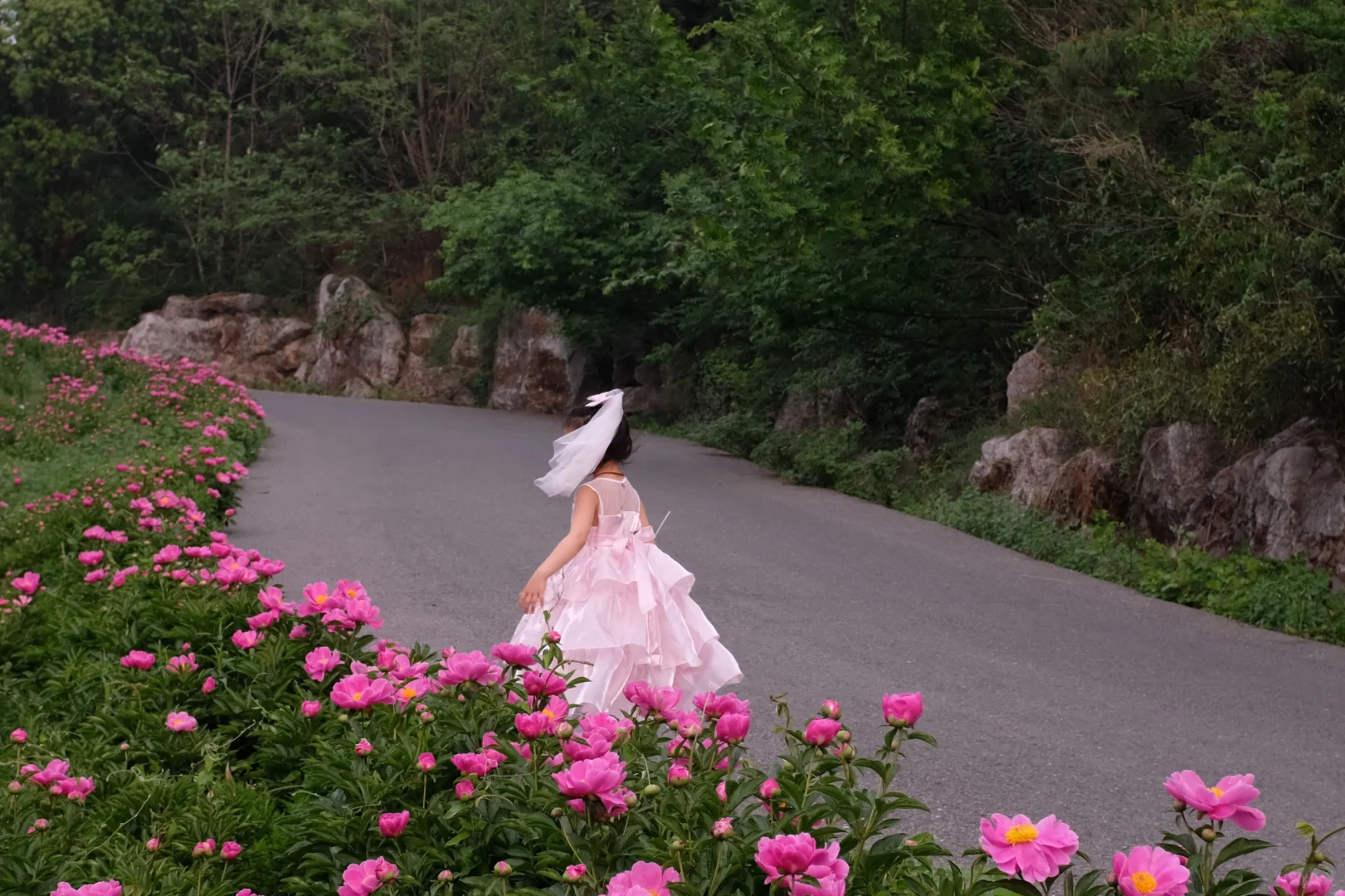 4.19南京周边无人花海