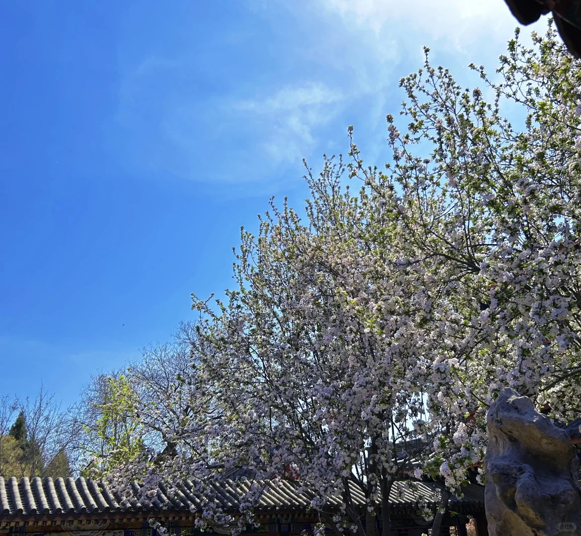 保定的景点大多都在一条路上