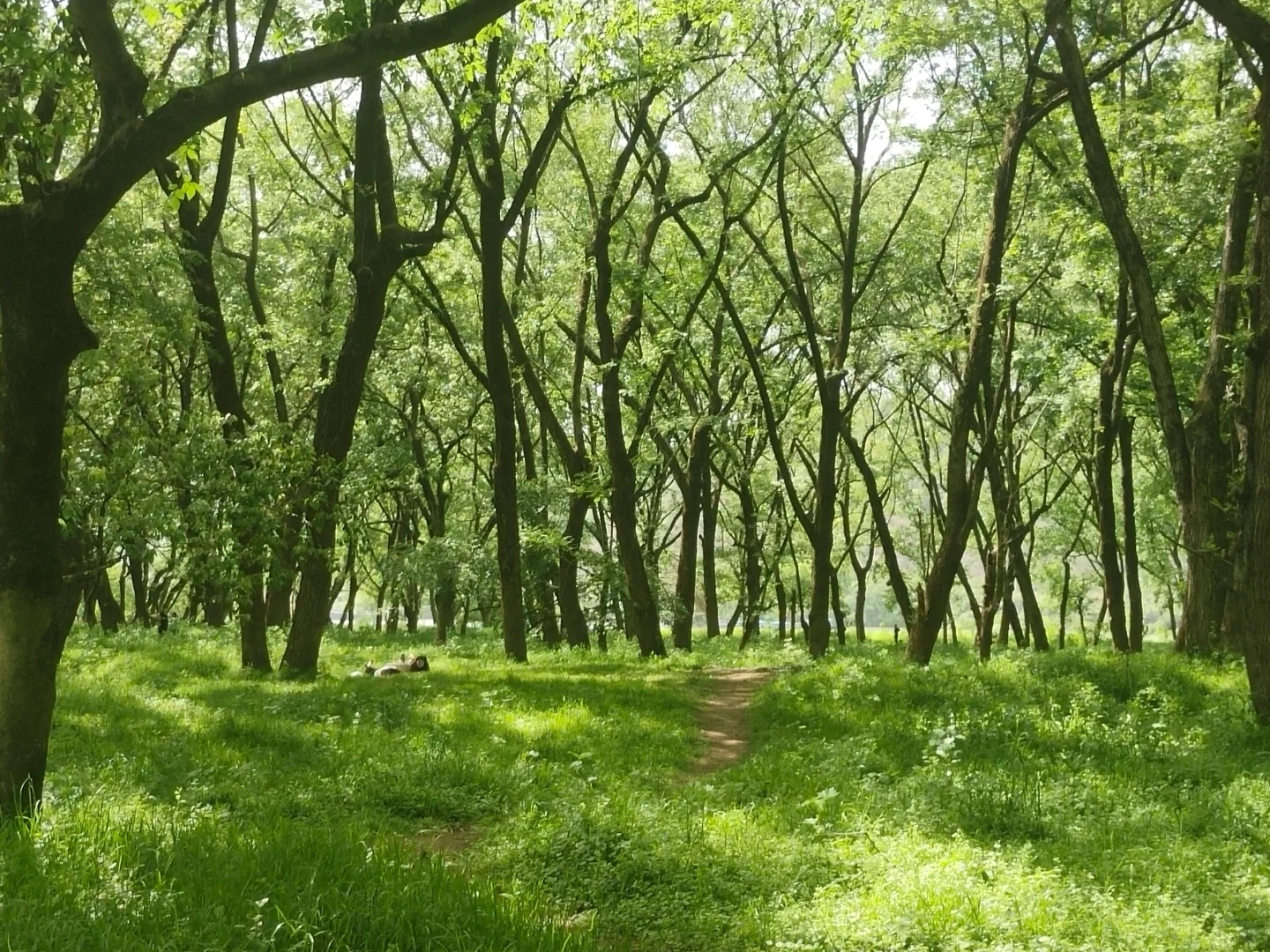 四月反向游 D1｜富阳桐庐感受富春江之美