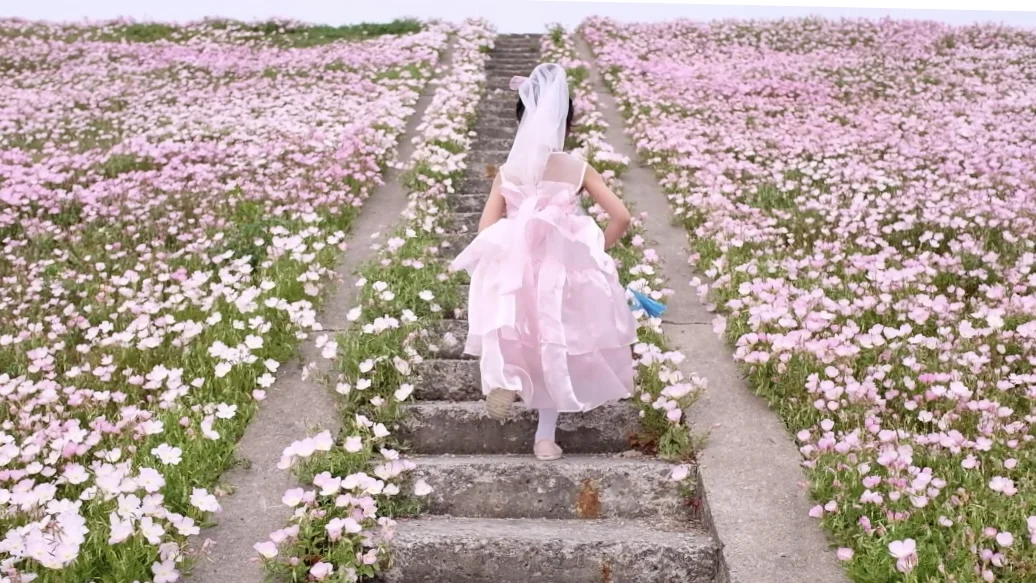 4.19南京周边无人花海
