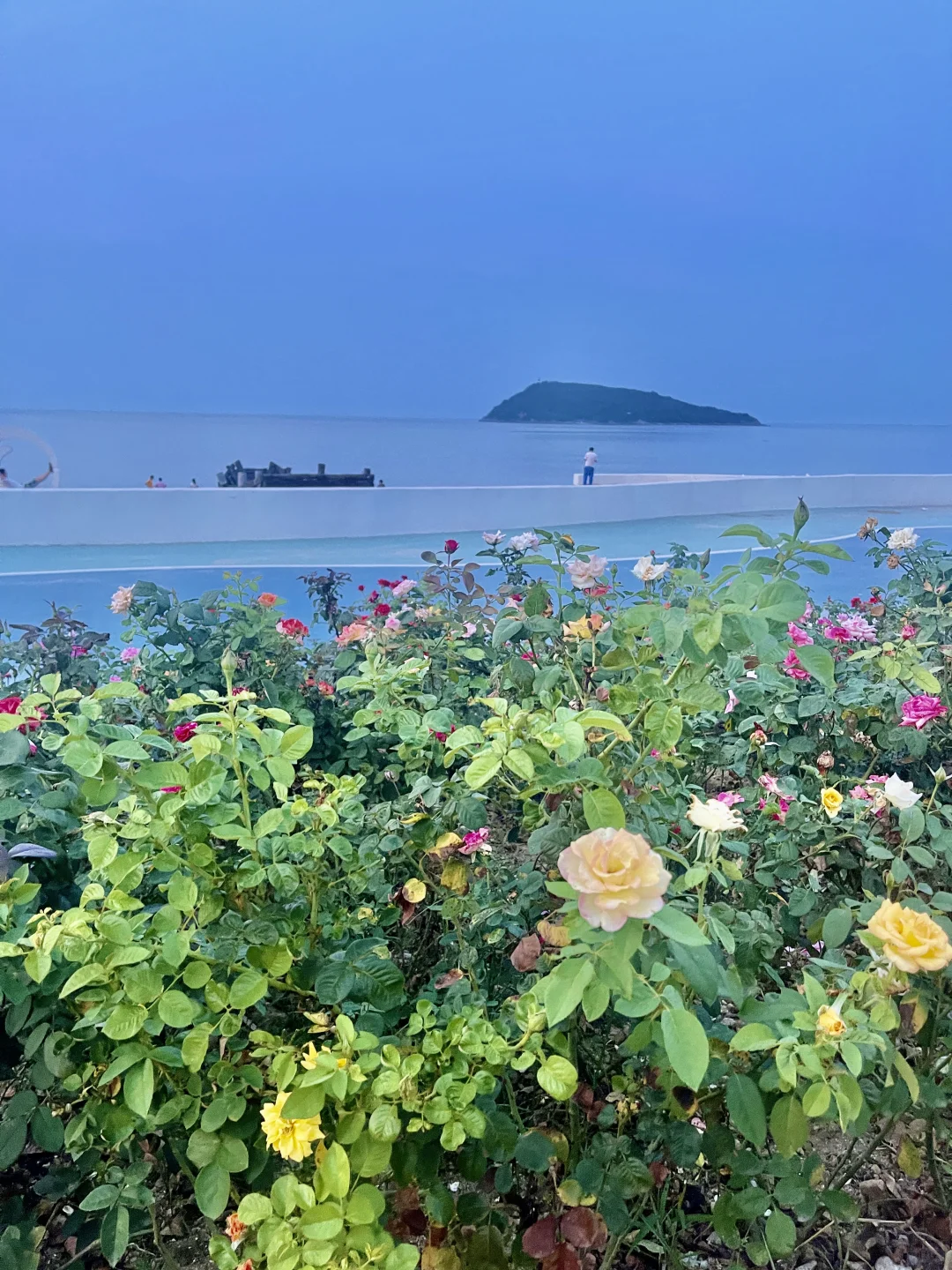 淡季的连云港更好玩！！6个小众景点推荐🌟