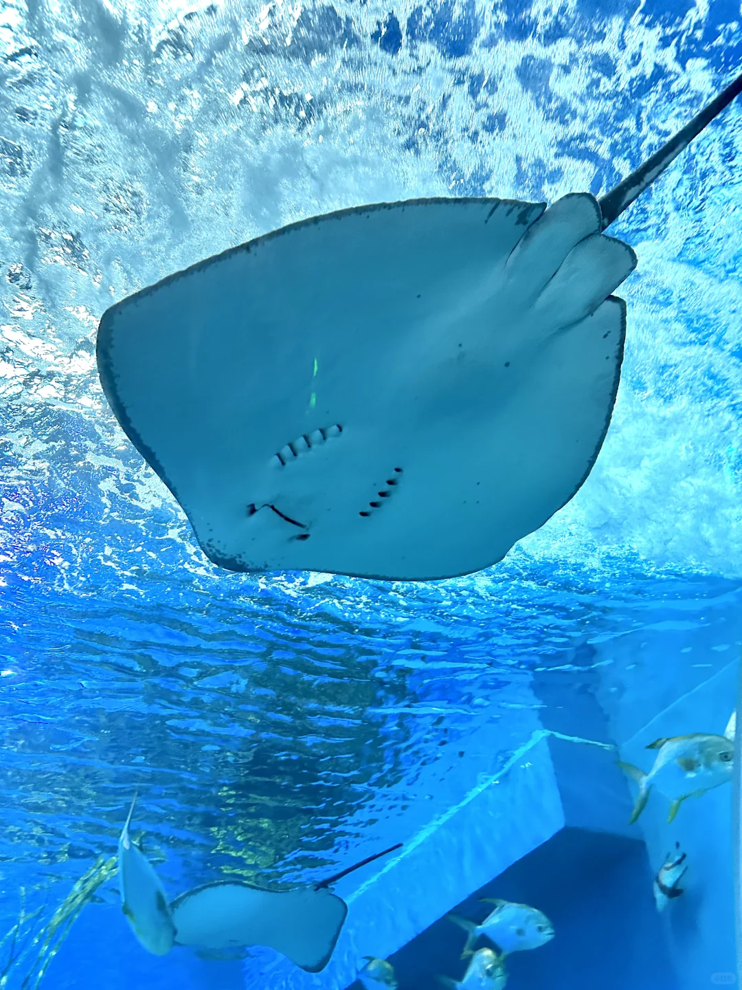 厦门周边！海上落日过山车！！！