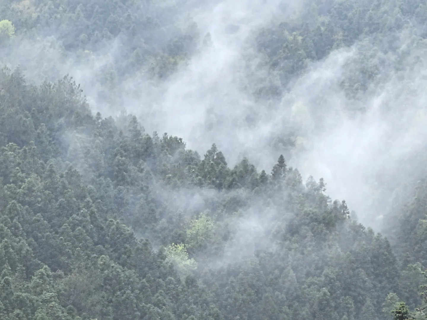 皖南有的地方宣而不藏,但很多人还是会错过