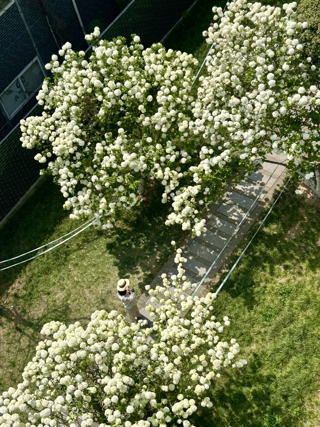 南京半日游!推荐❶条私藏小众秘境路线