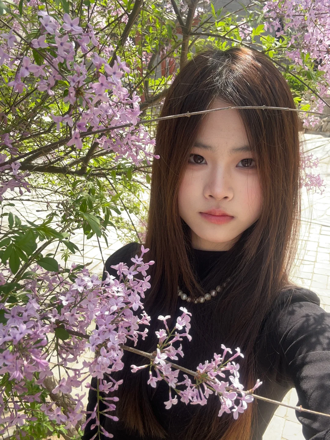 保定的景点大多都在一条路上