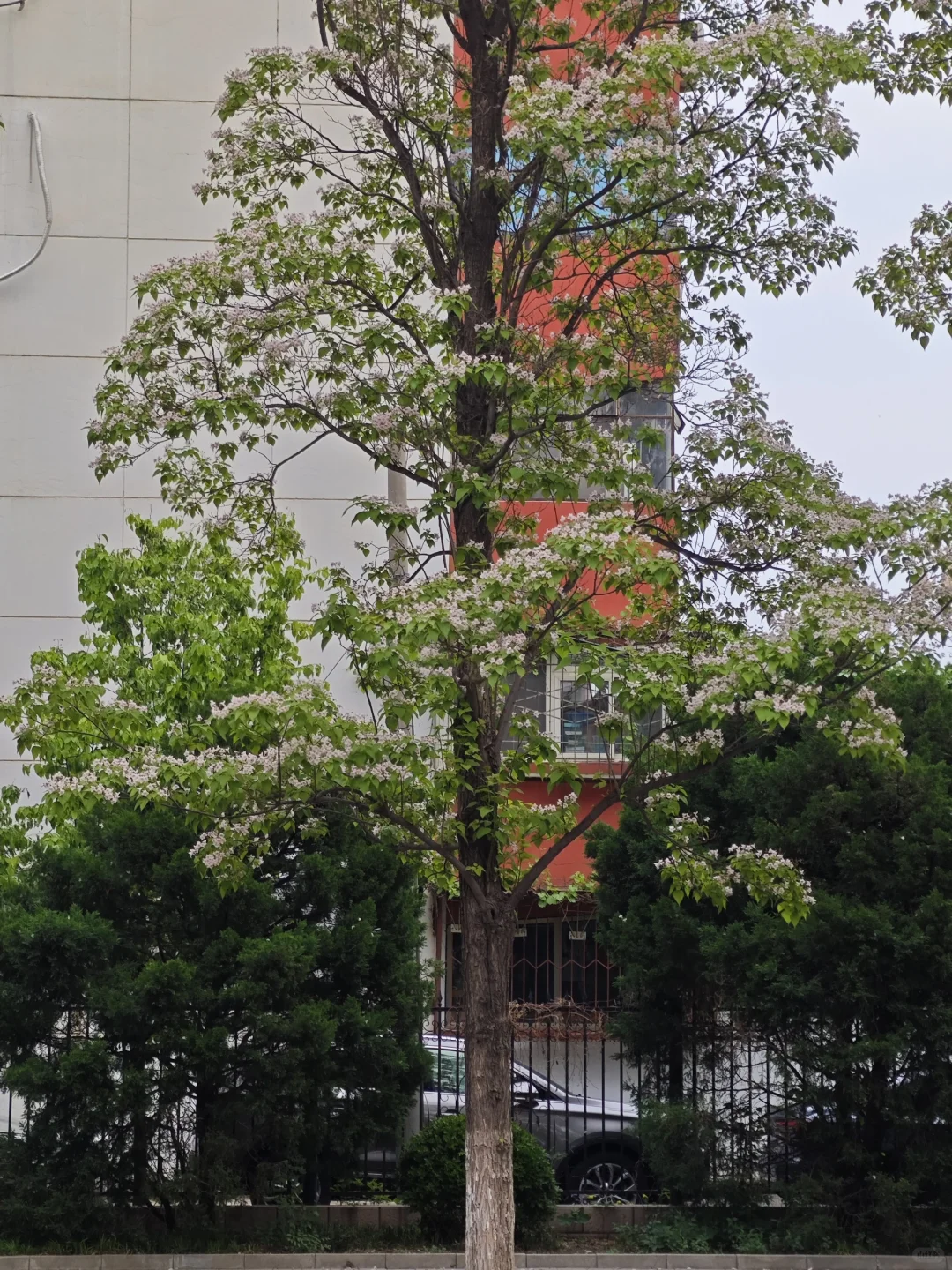 去往北京的春天