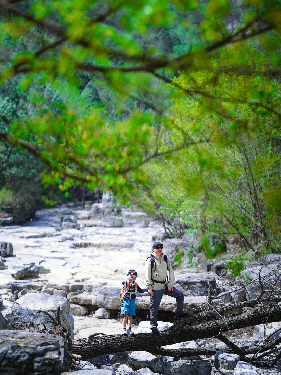 北京十万人围观的亲子徒步路线开放啦‼️