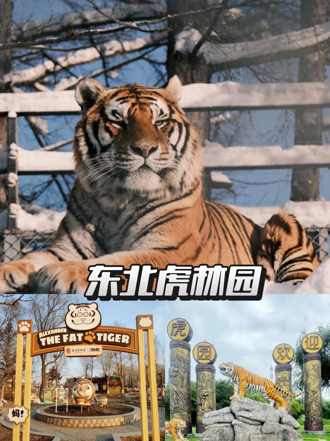 📚4月份来尔滨｜必去九大景点❗️❗️