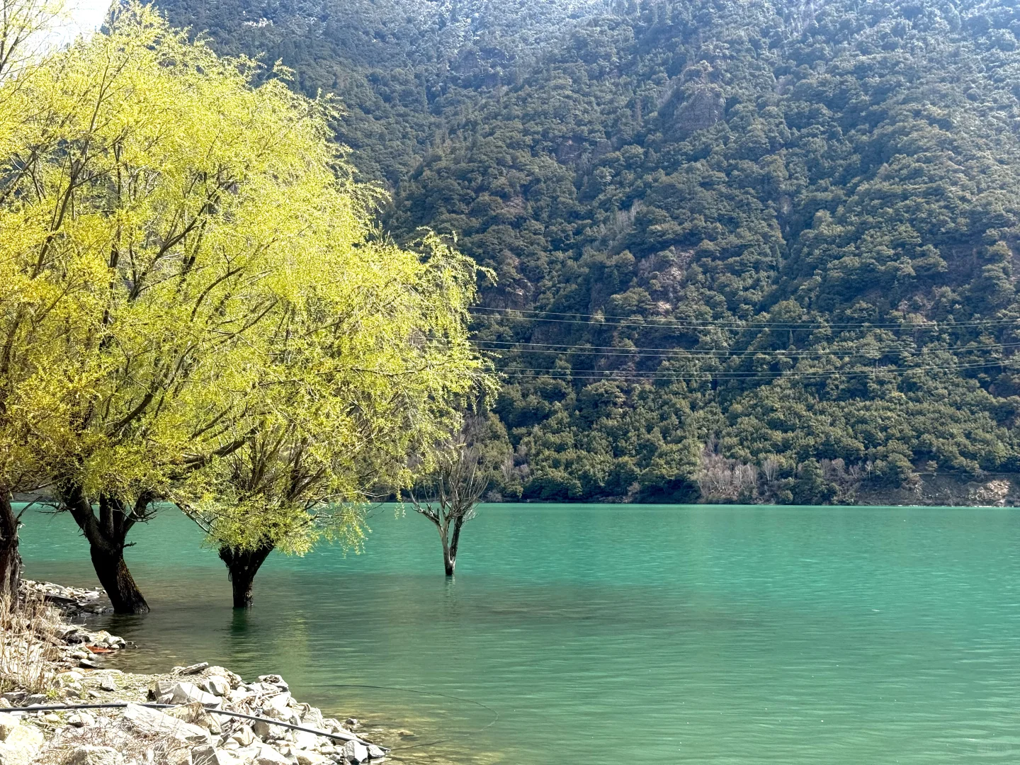 4月 波密-林芝-拉萨超详细小众出片景点