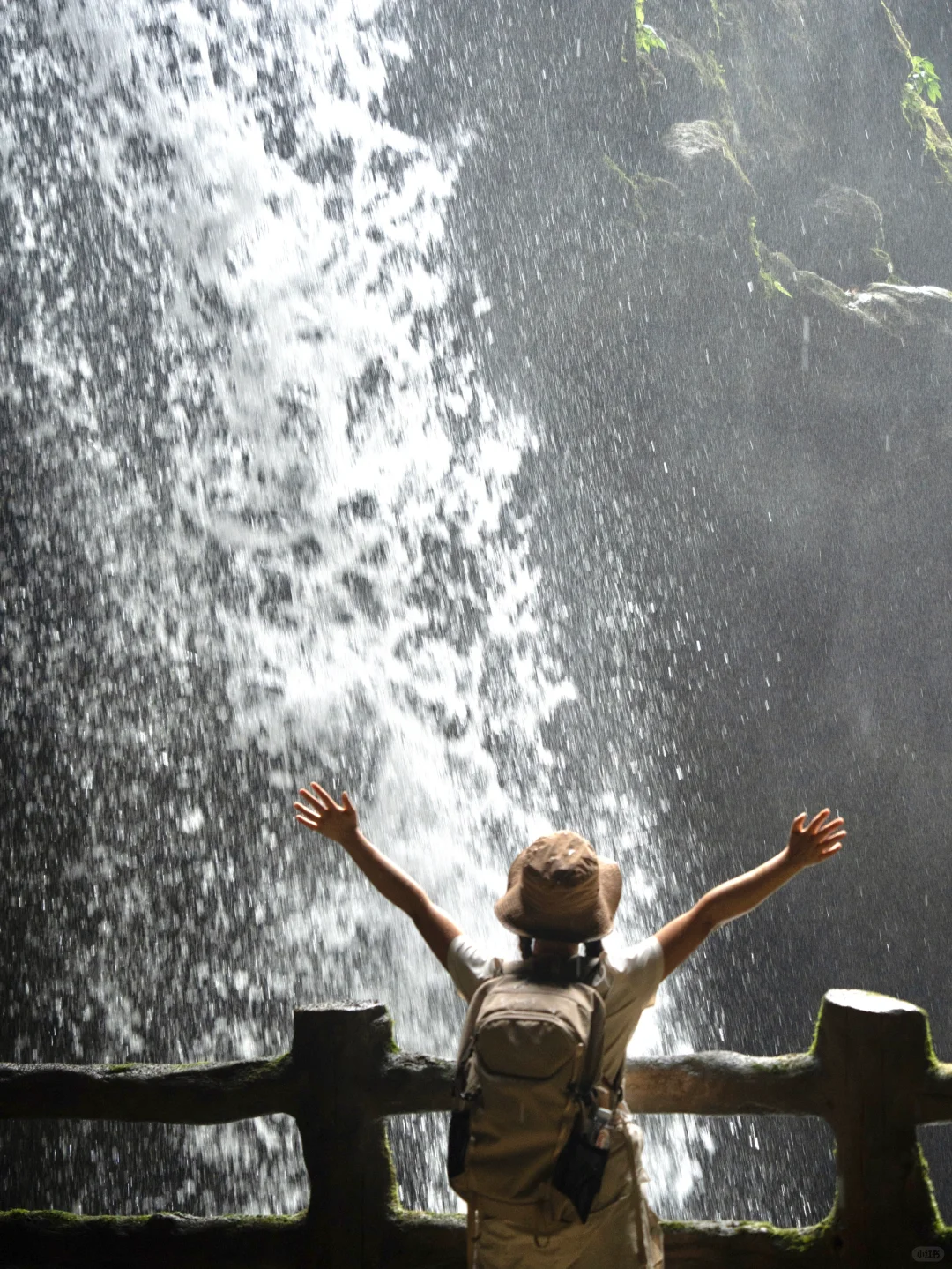 我宣布！我找到了中国最原始感的森林植物园