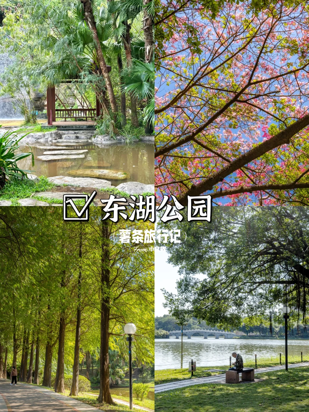 江门必打卡八大景点🔥超详细攻略不踩雷🤩