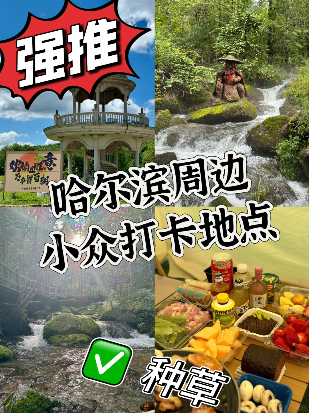 🌲【探秘哈尔滨周边游妈妈顶原始森林】🌲