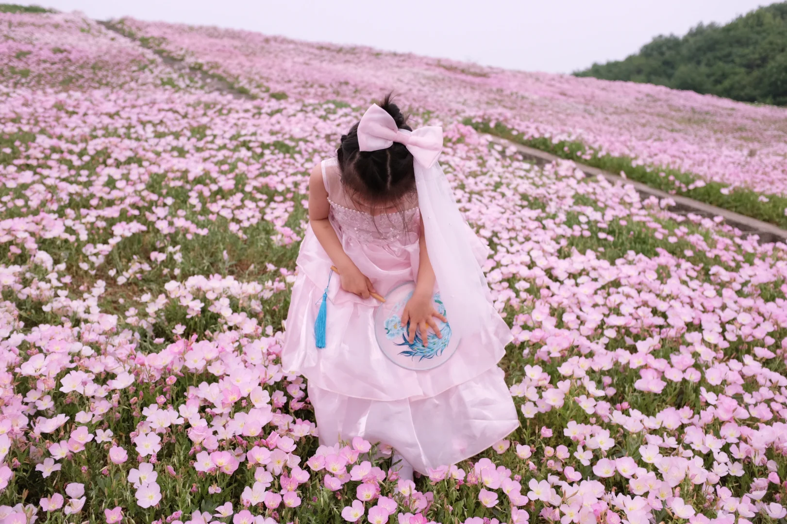 4.19南京周边无人花海