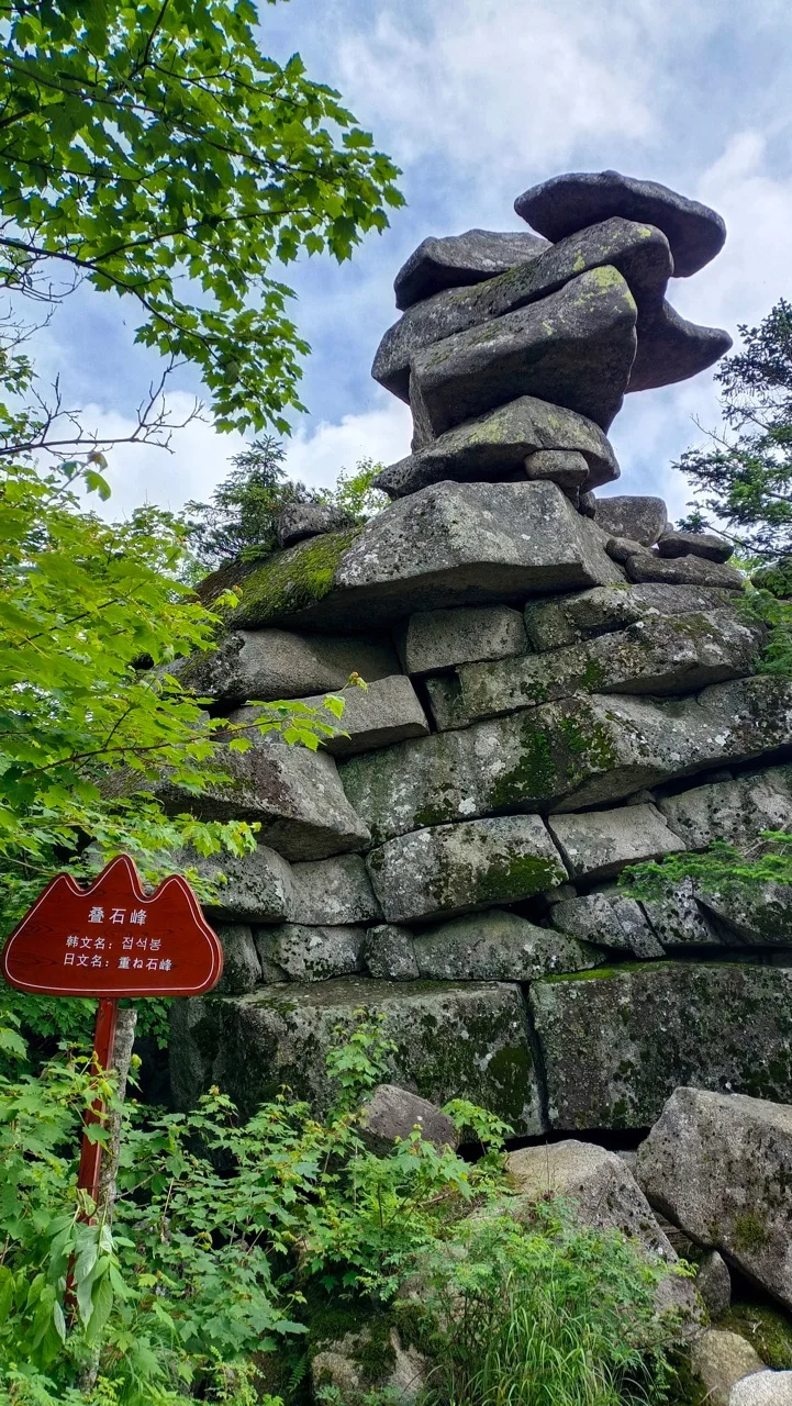 🌲【探秘哈尔滨周边游妈妈顶原始森林】🌲