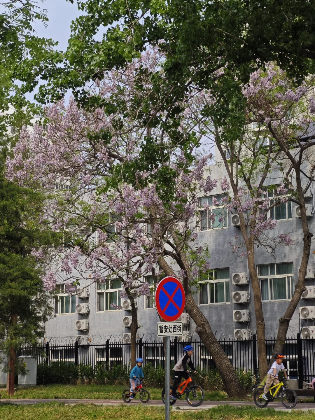 去往北京的春天