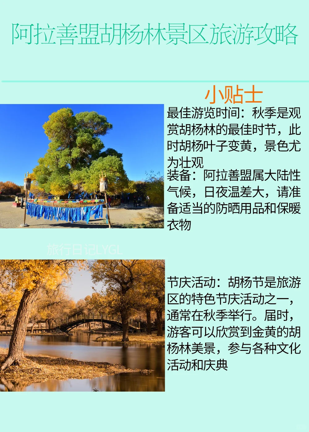 内蒙古阿拉善盟胡杨林旅游攻略