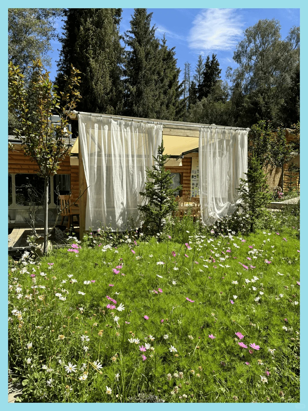 新疆草原如何选？讲明白！